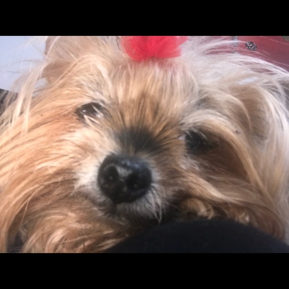 Meet your Posher, Hanna - Picture 3 of 15